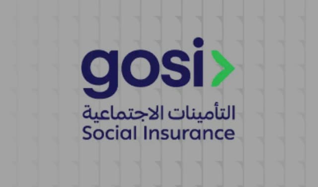 Integrate with government portals to support Saned and GOSI